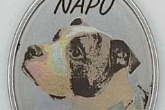 Pet portraits on steel pendants