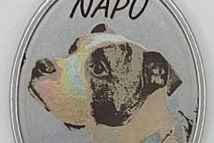 Pet portraits on steel pendants